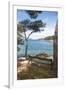 Croatia, Hvar Island, Stari Grad. Picturesque waterfront spot for bench.-Trish Drury-Framed Premium Photographic Print