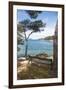 Croatia, Hvar Island, Stari Grad. Picturesque waterfront spot for bench.-Trish Drury-Framed Premium Photographic Print