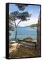 Croatia, Hvar Island, Stari Grad. Picturesque waterfront spot for bench.-Trish Drury-Framed Stretched Canvas