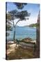 Croatia, Hvar Island, Stari Grad. Picturesque waterfront spot for bench.-Trish Drury-Stretched Canvas