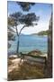 Croatia, Hvar Island, Stari Grad. Picturesque waterfront spot for bench.-Trish Drury-Mounted Photographic Print