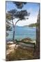 Croatia, Hvar Island, Stari Grad. Picturesque waterfront spot for bench.-Trish Drury-Mounted Photographic Print