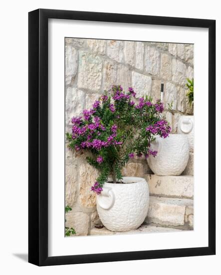 Croatia, Hvar. Potted purple plants in pots on steps.-Julie Eggers-Framed Photographic Print