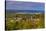 Croatia, Istria, Momjan, Piran Bay, View from San Mauro-Udo Siebig-Stretched Canvas