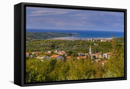 Croatia, Istria, Momjan, Piran Bay, View from San Mauro-Udo Siebig-Framed Stretched Canvas