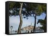 Croatia, Istria, Rovinj, Harbour and Cathedral of St. Euphemia-Walter Bibikow-Framed Stretched Canvas