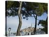 Croatia, Istria, Rovinj, Harbour and Cathedral of St. Euphemia-Walter Bibikow-Stretched Canvas