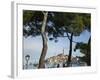 Croatia, Istria, Rovinj, Harbour and Cathedral of St. Euphemia-Walter Bibikow-Framed Photographic Print