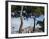 Croatia, Istria, Rovinj, Harbour and Cathedral of St. Euphemia-Walter Bibikow-Framed Photographic Print