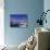 Croatia, Istria, West Coast, Porec, Harbor View, Peninsula, City, Adria, Associations, Resort-Udo Siebig-Stretched Canvas displayed on a wall