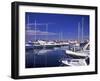 Croatia, Istria, West Coast, Porec, Harbor View, Peninsula, City, Adria, Associations, Resort-Udo Siebig-Framed Photographic Print