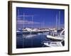 Croatia, Istria, West Coast, Porec, Harbor View, Peninsula, City, Adria, Associations, Resort-Udo Siebig-Framed Photographic Print