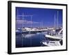 Croatia, Istria, West Coast, Porec, Harbor View, Peninsula, City, Adria, Associations, Resort-Udo Siebig-Framed Photographic Print