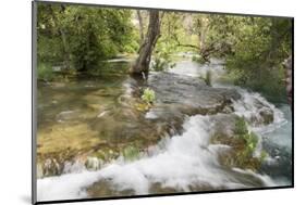 Croatia. Krka National Park cascades. UNESCO World Heritage Site.-Trish Drury-Mounted Photographic Print