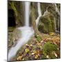 Croatia, Plitvice Lakes National Park, Waterfall, Moss, Leaves-Rainer Mirau-Mounted Photographic Print