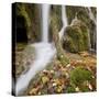 Croatia, Plitvice Lakes National Park, Waterfall, Moss, Leaves-Rainer Mirau-Stretched Canvas