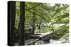 Croatia, Plitvice National Park. Boat dock for rentals and electric tour boats.-Trish Drury-Stretched Canvas