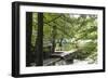 Croatia, Plitvice National Park. Boat dock for rentals and electric tour boats.-Trish Drury-Framed Photographic Print