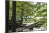 Croatia, Plitvice National Park. Boat dock for rentals and electric tour boats.-Trish Drury-Mounted Photographic Print