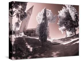 Croatia, Rovinj. Path leading to church-Terry Eggers-Stretched Canvas