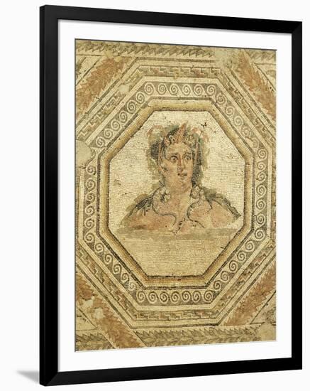 Croatia, Salona, Solin, Mosaic Floor-null-Framed Giclee Print