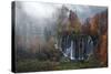 Croatia, the Incredible Autumn Colours and Waterfalls of Plitvice National Park.-Andrea Pozzi-Stretched Canvas