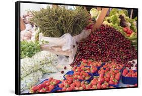 Croatia, Zadar. City Market produce stall bright and colorful. UNESCO.-Trish Drury-Framed Stretched Canvas