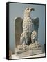 Croatia, Zara, Roman Eagle-null-Framed Stretched Canvas