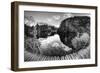 Croatia-Maciej Duczynski-Framed Photographic Print