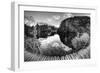 Croatia-Maciej Duczynski-Framed Photographic Print