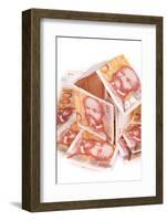 Croatian Money, Kuna-Rostislav_Sedlacek-Framed Photographic Print