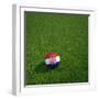 Croatian Soccerball Lying on Grass-zentilia-Framed Art Print