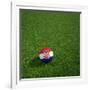 Croatian Soccerball Lying on Grass-zentilia-Framed Art Print