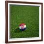 Croatian Soccerball Lying on Grass-zentilia-Framed Art Print