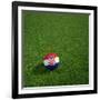 Croatian Soccerball Lying on Grass-zentilia-Framed Art Print