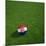 Croatian Soccerball Lying on Grass-zentilia-Mounted Art Print