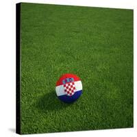 Croatian Soccerball Lying on Grass-zentilia-Stretched Canvas