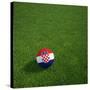 Croatian Soccerball Lying on Grass-zentilia-Stretched Canvas