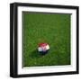 Croatian Soccerball Lying on Grass-zentilia-Framed Art Print