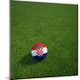 Croatian Soccerball Lying on Grass-zentilia-Mounted Art Print