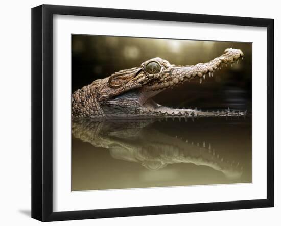 Croc-Fahmi Bhs-Framed Photographic Print