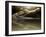 Croc-Fahmi Bhs-Framed Photographic Print