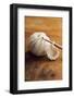 Crochet Hook on Wooden Background-Melica73-Framed Photographic Print