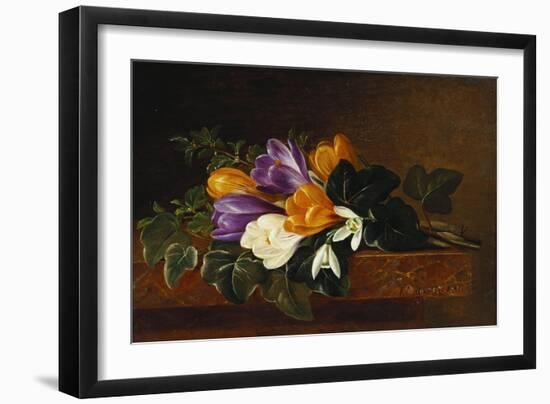 Crocii and Snowdrops on a Marble Ledge-Johan Laurentz Jensen-Framed Premium Giclee Print