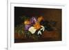 Crocii and Snowdrops on a Marble Ledge-Johan Laurentz Jensen-Framed Giclee Print