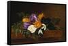 Crocii and Snowdrops on a Marble Ledge-Johan Laurentz Jensen-Framed Stretched Canvas