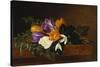 Crocii and Snowdrops on a Marble Ledge-Johan Laurentz Jensen-Stretched Canvas