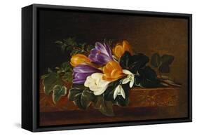 Crocii and Snowdrops on a Marble Ledge-Johan Laurentz Jensen-Framed Stretched Canvas