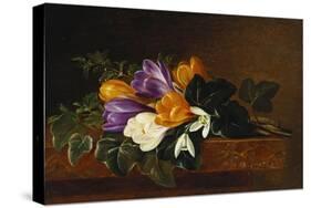 Crocii and Snowdrops on a Marble Ledge-Johan Laurentz Jensen-Stretched Canvas