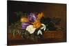 Crocii and Snowdrops on a Marble Ledge-Johan Laurentz Jensen-Stretched Canvas